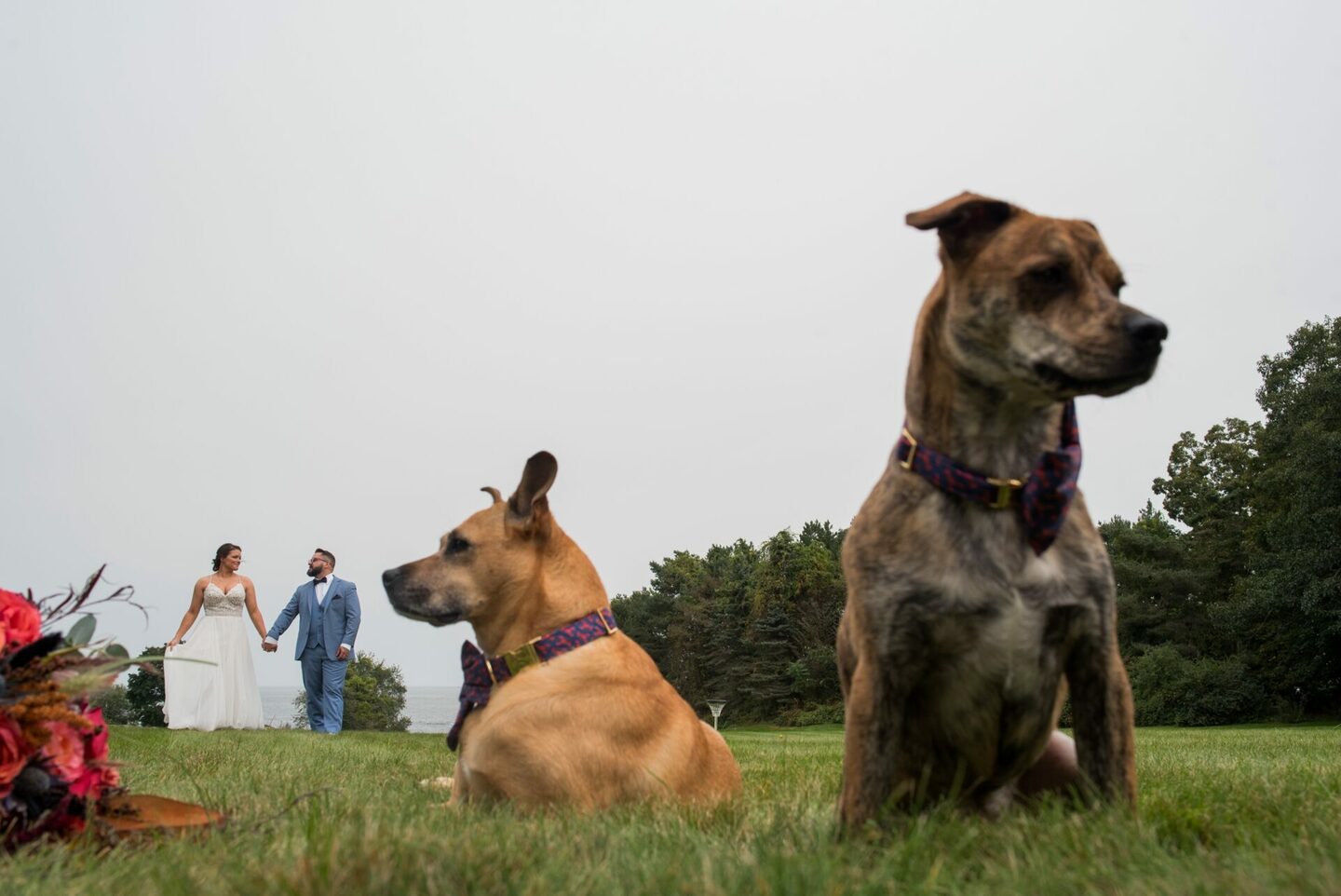Calli & Andrew - Cape Elizabeth (Maine)