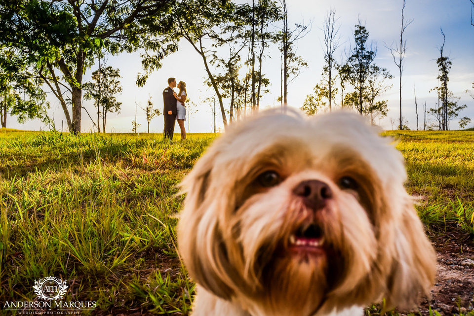 Ensaio - Ana Paula & Luiz Fernando (Brasília - DF)