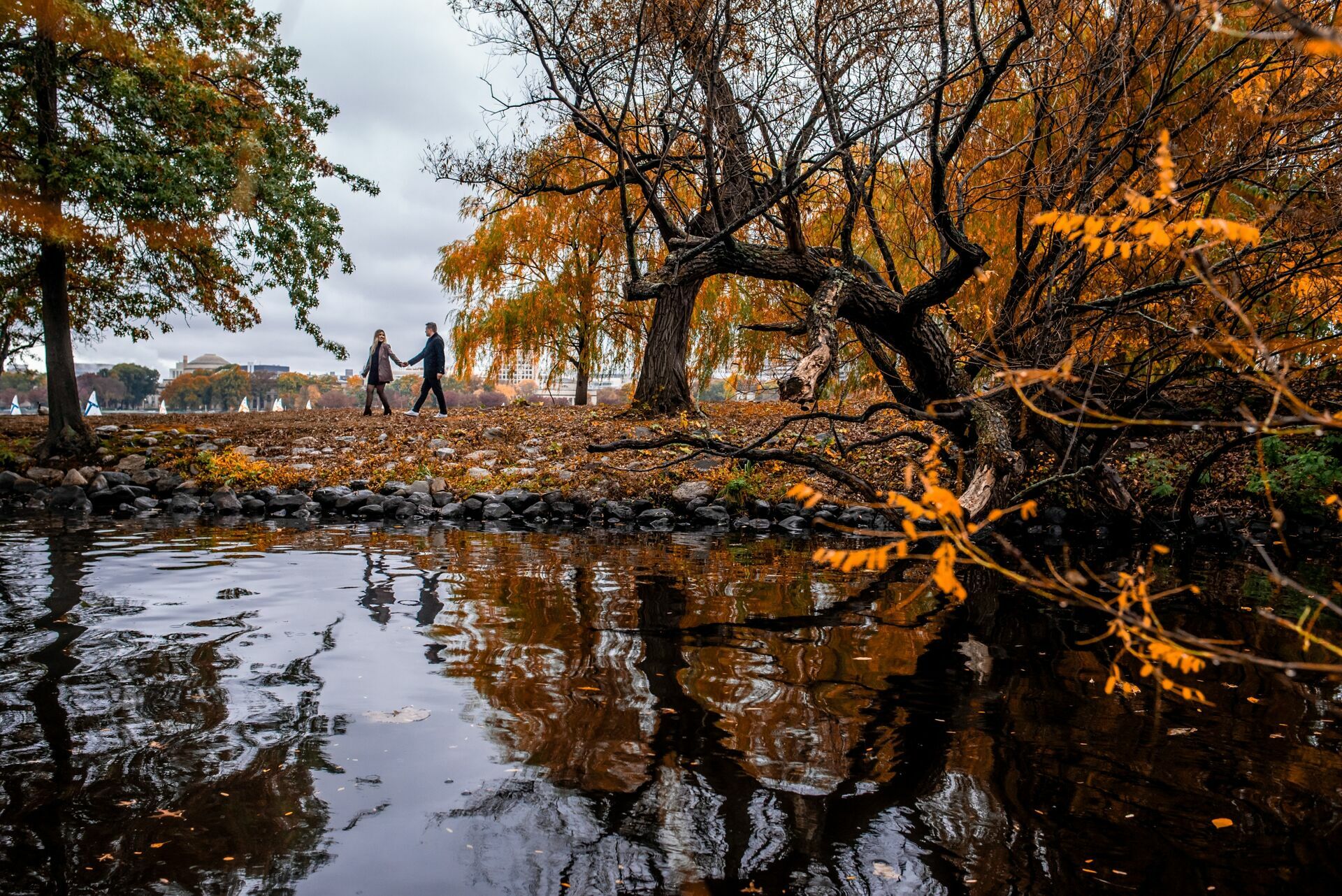 Foto Chuva de Amor em Boston: Sessão Fotográfica de Casal com Shelen e Marcelo Foto Chuva de Amor em Boston: Sessão Fotográfica de Casal com Shelen e Marcelo - Imagem 24