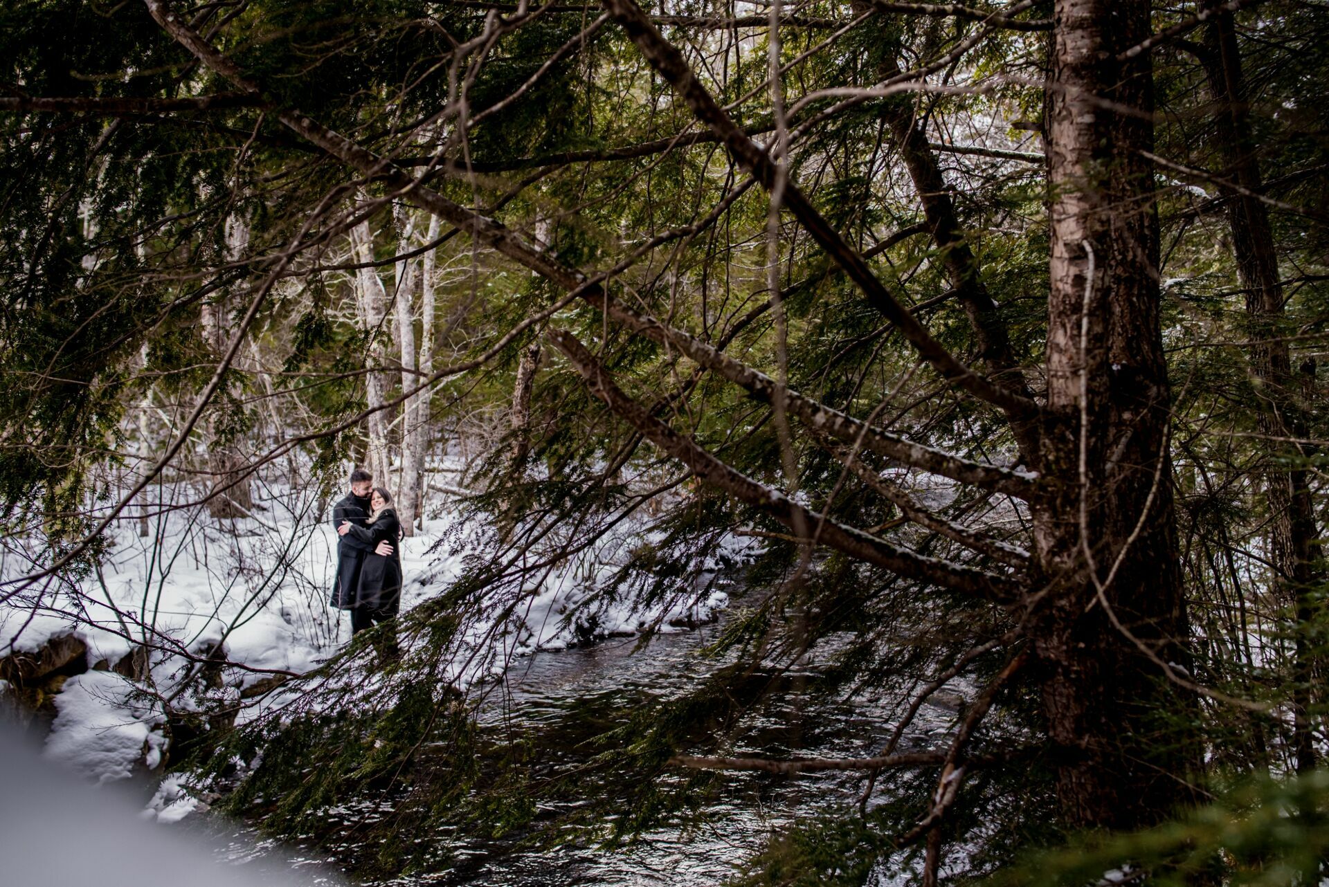 Foto Uma História de Amor na Neve: Sessão Fotográfica e Pedido de Casamento surpresa em New Hampshire - Imagem 14