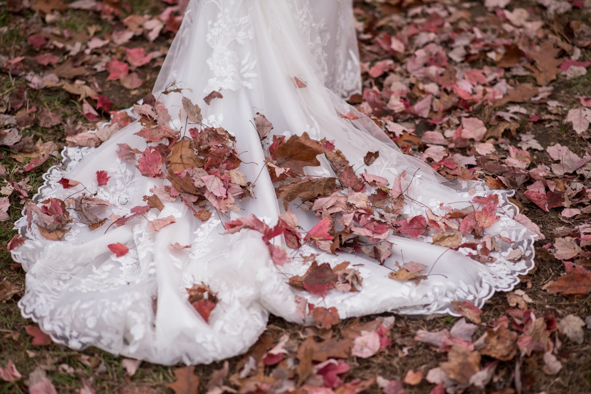 Foto Trash The Dress no Moinho de Sudbury: Uma Sessão Fotográfica Pós-Casamento Inesquecível Foto Trash The Dress no Moinho de Sudbury: Uma Sessão Fotográfica Pós-Casamento Inesquecível - Imagem 18